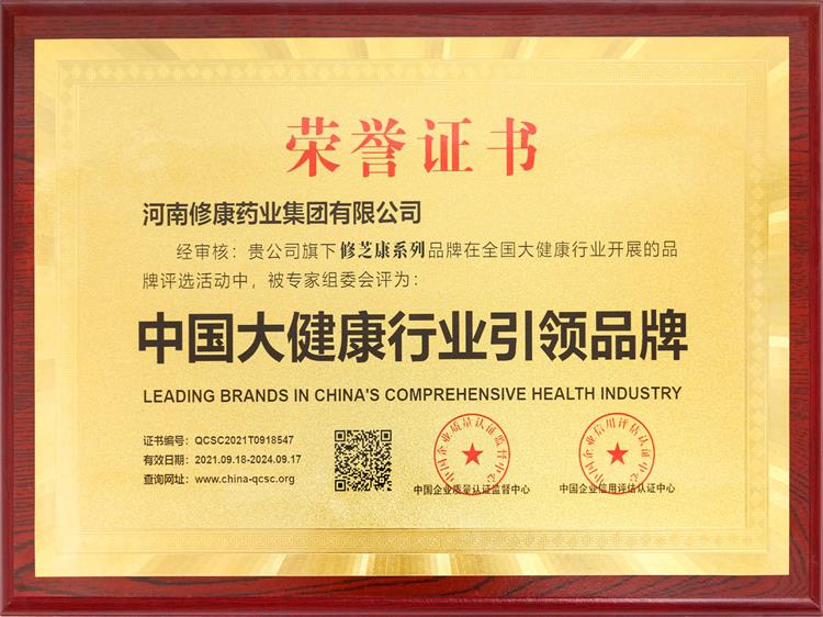 中国大健康行业引领品牌荣誉证书